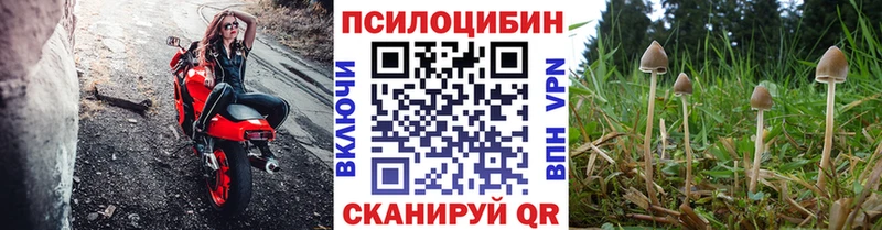 Галлюциногенные грибы Psilocybine cubensis  даркнет сайт  Пушкино 