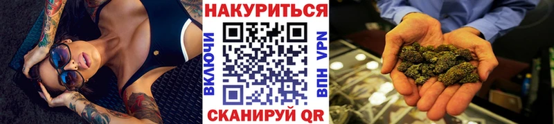 где продают наркотики  Пушкино  Бошки Шишки конопля 